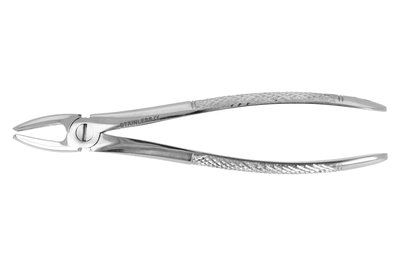 Kleszcze Berten fig. 1 górne siekacze i kły