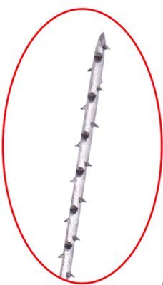 HS-nervové jehly sterilní, COARSE/6, černé, 21mm, 10ks