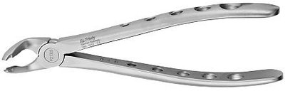 Forceps #21 Atraumair, Serrated, 1st and 2nd lowe