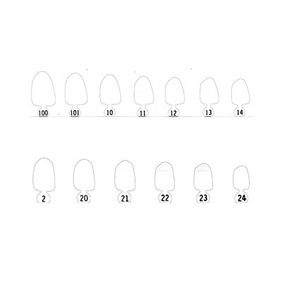 M+W Provizorní korunky 12 5ks