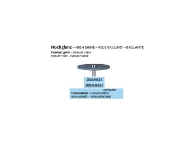 Leštící guma EVERLAST zelená 100ks