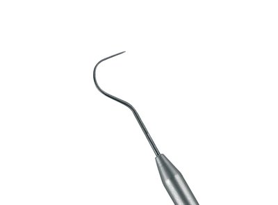 Explorer Kotschy #23