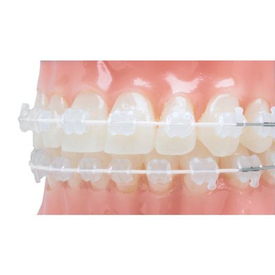Euroform+ Cosmetic Nerez D kulaté .014 10 ks