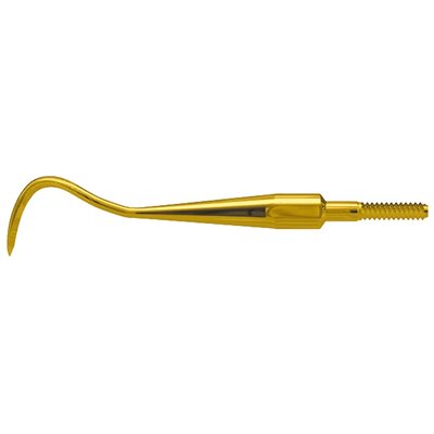 AE Scaler Quik-Tip American Eagle