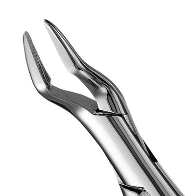 Forceps Parmly Alveolar #32 SM Premolar