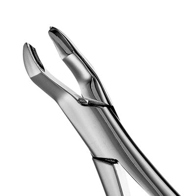Forceps #53R SM 1-2 Molar, Point left
