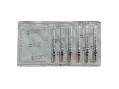 Protaper Next X4, 6 ks