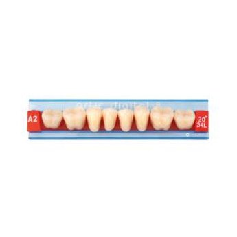 Zuby Artic 8, B2 / 32U, 0°