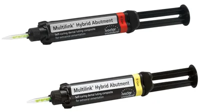 Multilink Hybrid Abutment