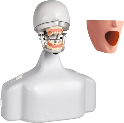 Dental-Übungsgerät P-6/3 TSE