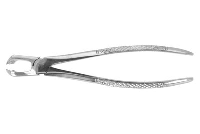 Kleszcze Berten fig. 79 dolny ząb mądrości