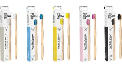 Humble Brush Erwachsene