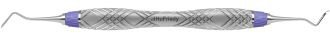 Scaler Harmony 204S EverEdge 2.0