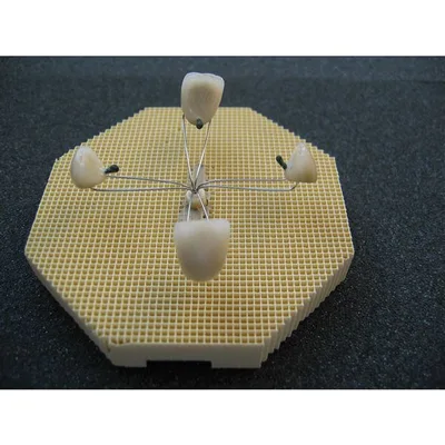 Spider Tray