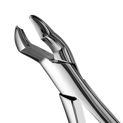 Forceps #53L SM 1-2 Molar, Point left
