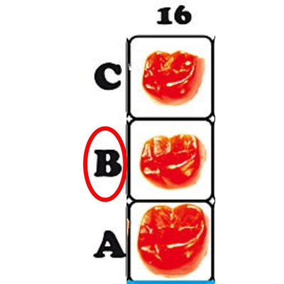 Náhled 2