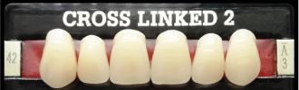 Cross Linked 2 Anterior