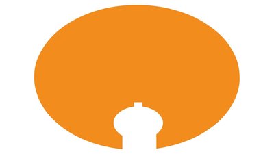 FlashMax P3 Schutzschild