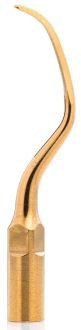Woodpecker Tip P12 TiN (EMS)