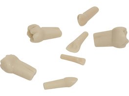 296343 - Kindermodellzähne AK-6/2