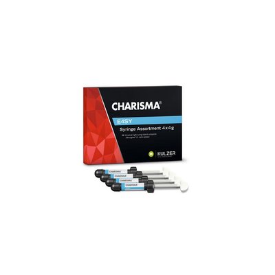 Charisma E4SY Assortment 4x4g Kulzer ref.66101240