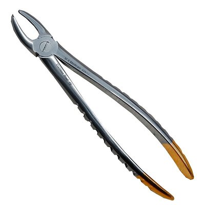 Kleště diamant vel.17 horní molárové, pravé