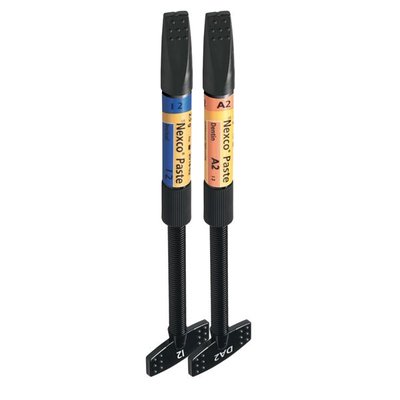 SR Nexco PASTE Dentin 2.5 g B2