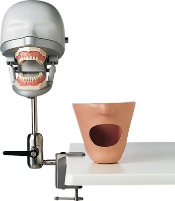 Dental-Übungsgerät P-6/3 PT