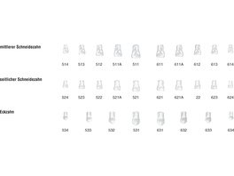 Strip-Kronen Kinder Klar - Packung 5 Stück Nr. 524