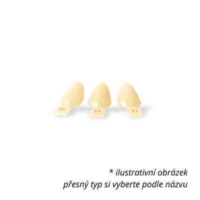 Temporary Crowns opákní č.13 5ks