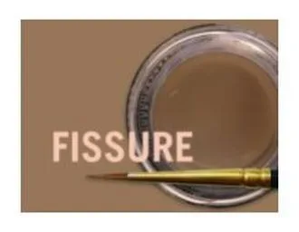 MiYo Color Fissure Fluor, 4g