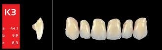 Ref-Line Anterior C2 K3 zuby