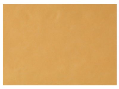 EURONDA Monoart Papírové podložky na tácy 250ks 280x180mm, oranžové (205007)