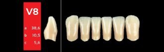Ref-Line Anterior A3,5 V8