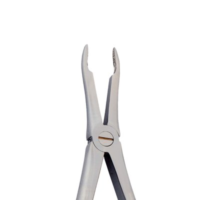 Diamantové kleště č. 41. horní kořenové