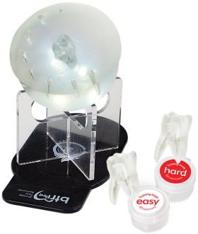 BTR Dental Training Gum