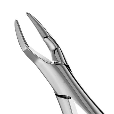 Forceps #65 SM incisors