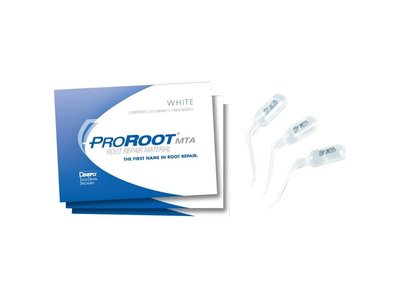 Pro Root MTA, dóza 10x0,5g white