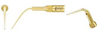 Woodpecker Tip P3 TiN (EMS PS)