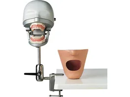 Dental-Übungsgerät P-6/3 PT
