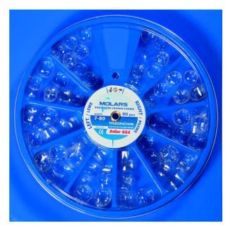 Korunky transparentné molárové dolné