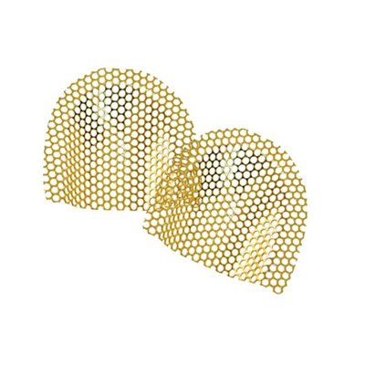 Mřížka zesilovací pozlacená 0,4 mm/10ks/
