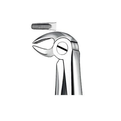 Extrakční kleště, dolní čelist, řezáky, premoláry