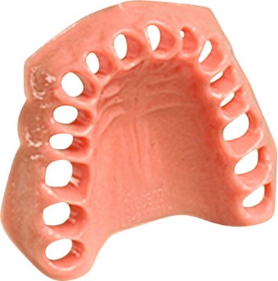 Dentalhygiene-Modell