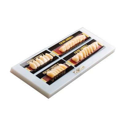 Cross Linked FD I6 B2