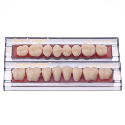 Gnathostar - zęby akrylowe 8 sztuk