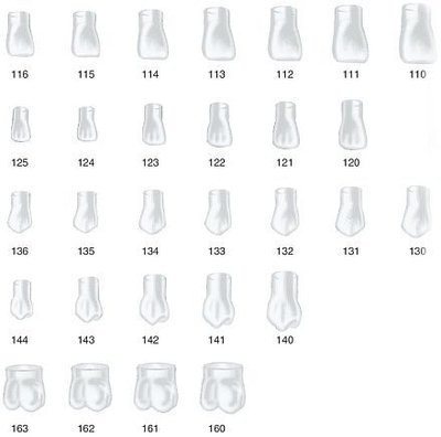 Strip Crowns korunky pravé horní 122