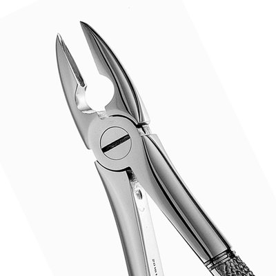 Forceps Mead MD1 SM anterior Premolar