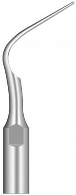 Woodpecker Tip P5 (EMS)