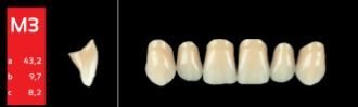 Ref-Line Anterior A3,5 M3 zuby